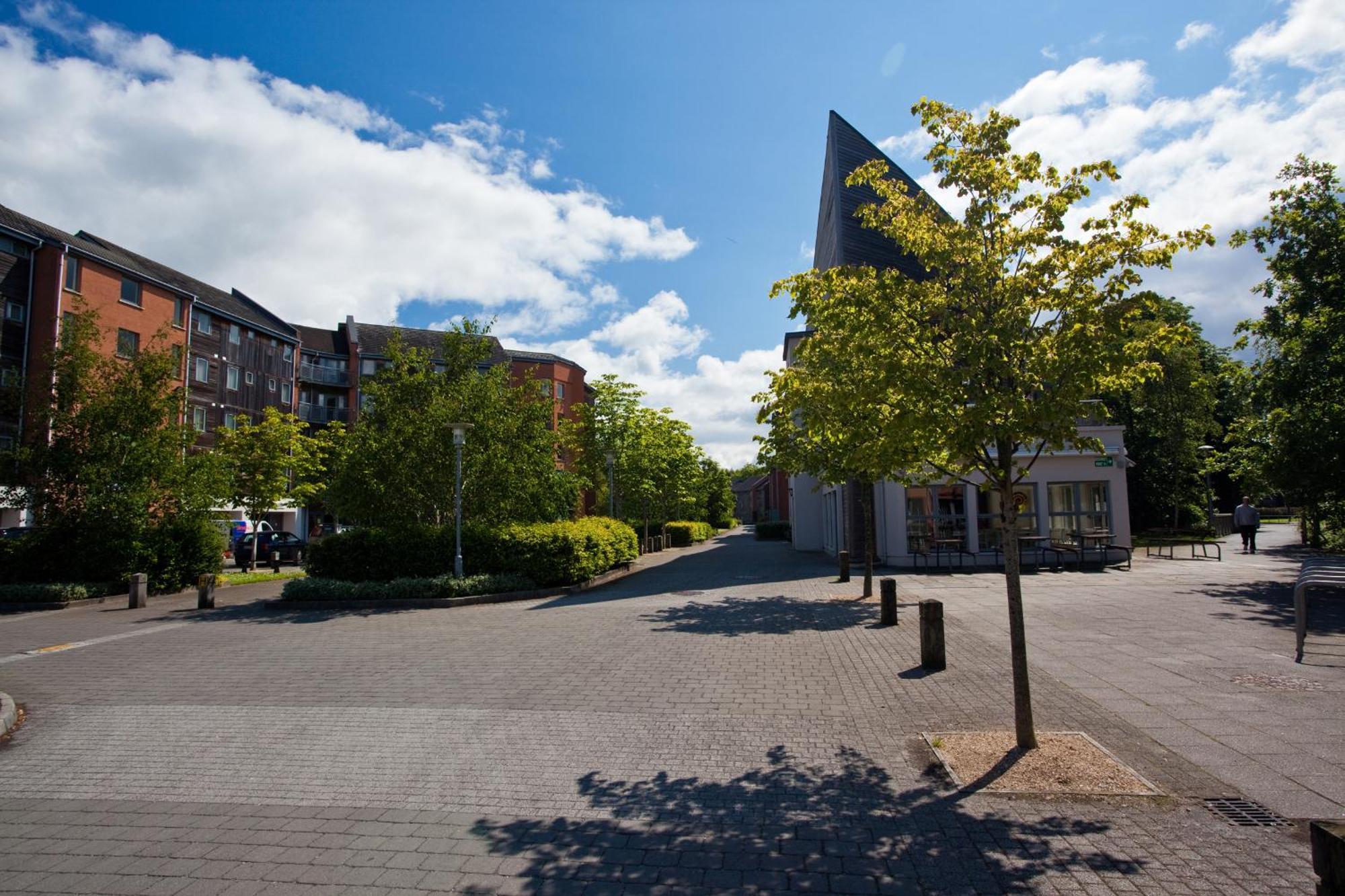Dromroe Village University Of Лимерик Экстерьер фото